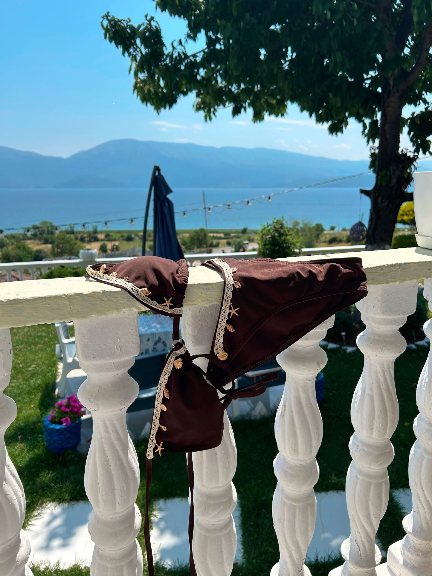 Abigail Walker Sea Shell Bikini Set In Chocolate